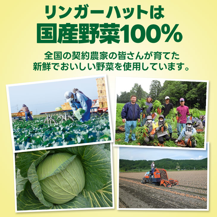 野菜たっぷり皿うどん6食セット