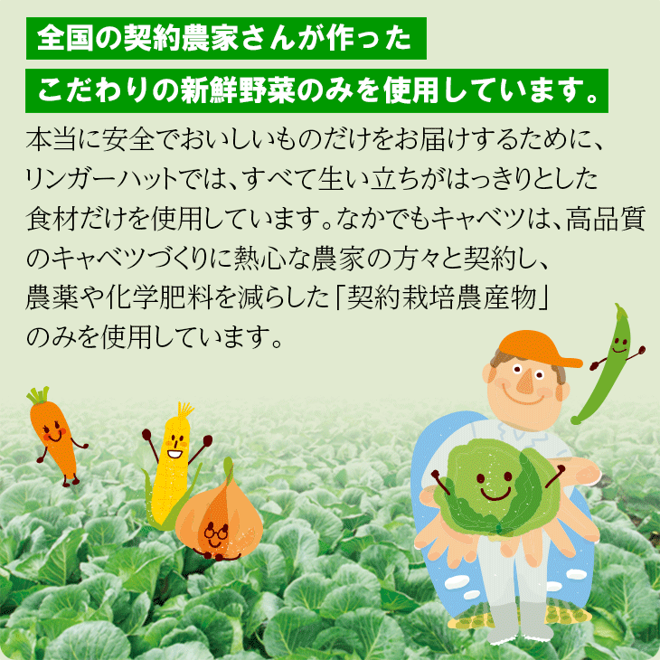 野菜たっぷり皿うどん6食セット