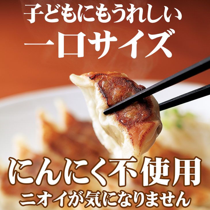 ぎょうざ4パック・長崎ちゃんぽん4食・長崎皿うどん4食セット