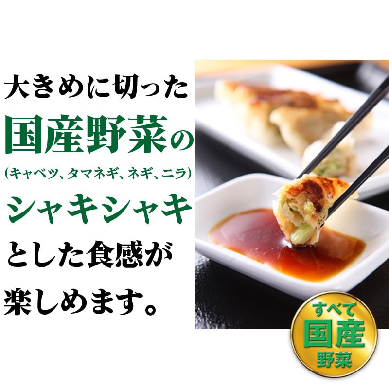 ぎょうざ4パック・長崎ちゃんぽん4食・長崎皿うどん4食セット: セットメニューリンガーハットオンラインショップ