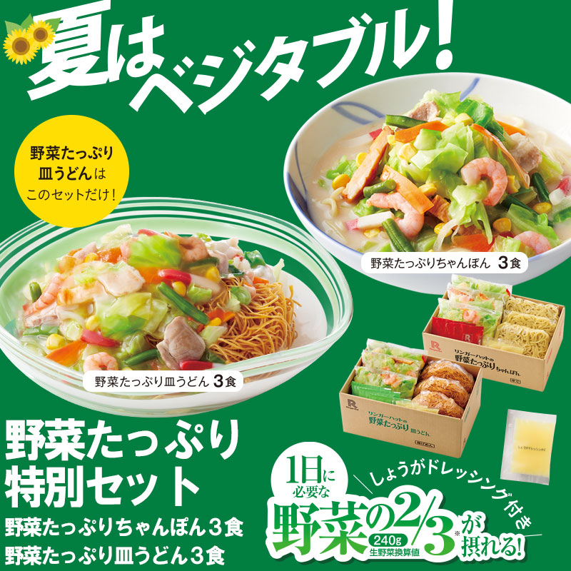 野菜たっぷり特別セット