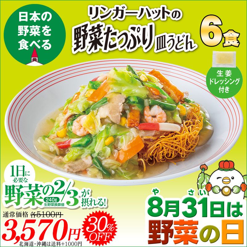 （野菜の日）野菜たっぷり皿うどん6食セット