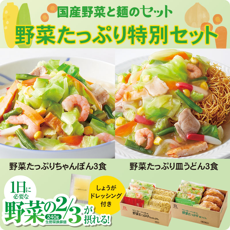 野菜たっぷり特別セット