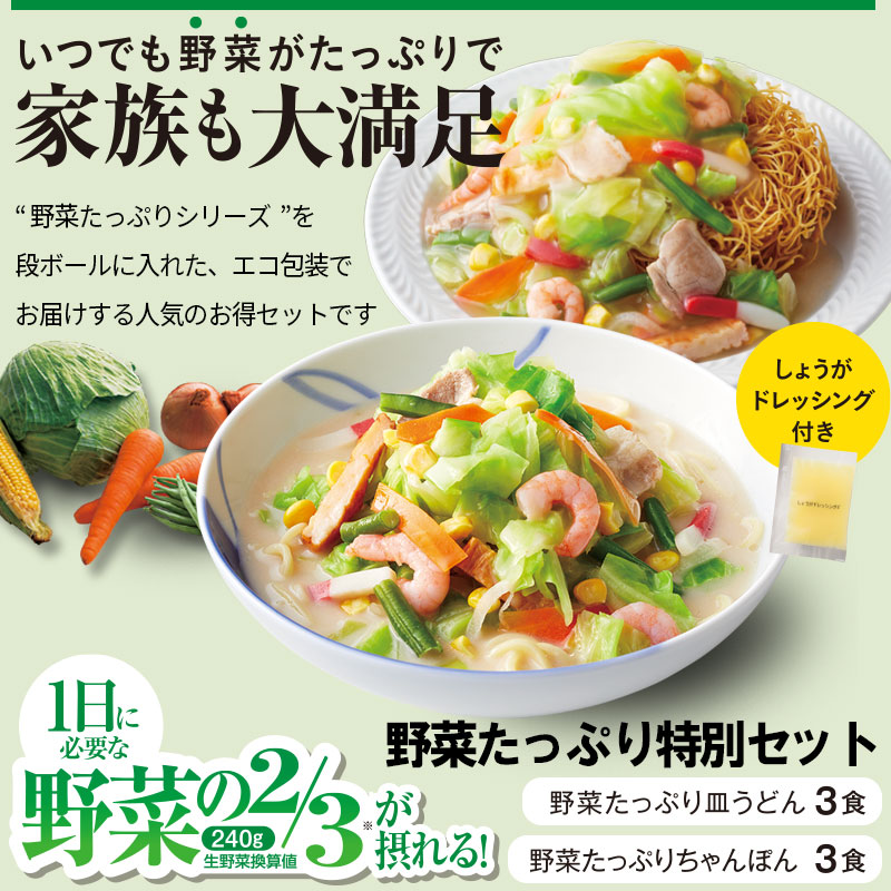 野菜たっぷり特別セット