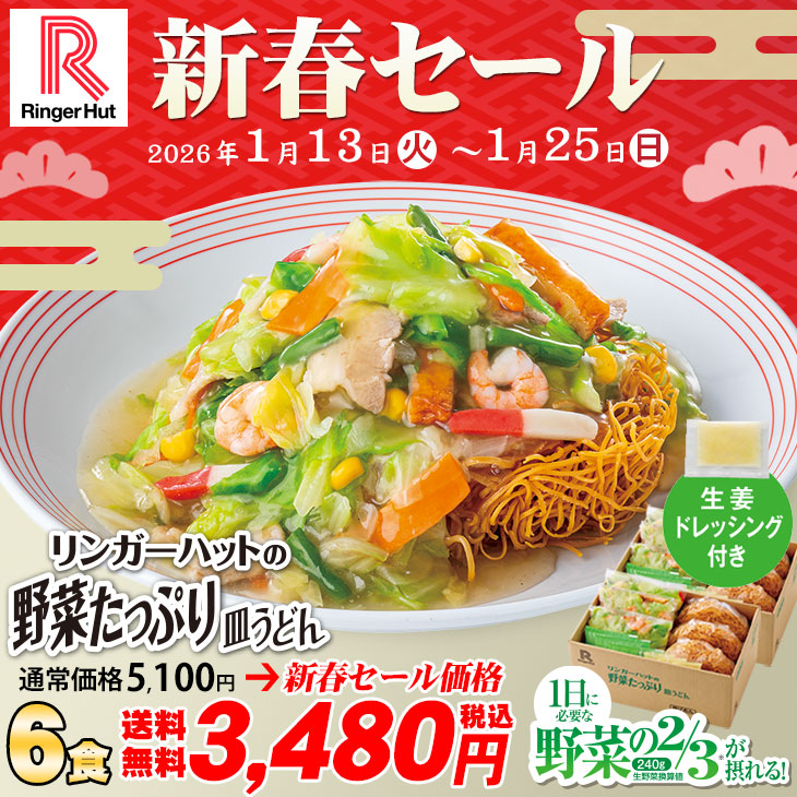 （新春セール）野菜たっぷり皿うどん6食セット