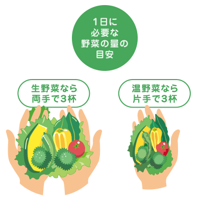 野菜の量
