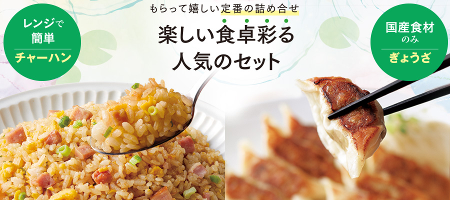 餃子・炒飯セット