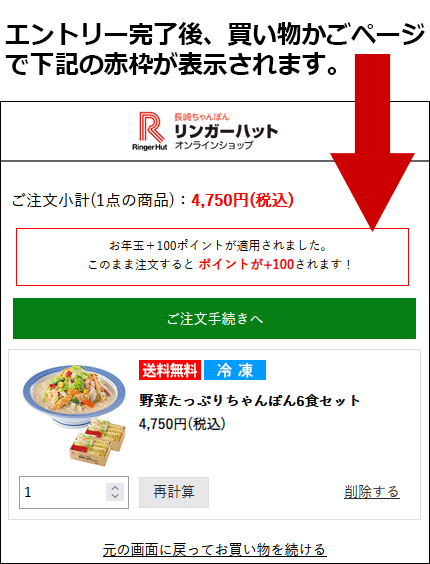 お年玉ポイントプレゼントキャンペーン【エントリー完了 