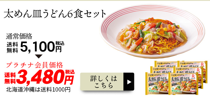 太めん皿うどん6食セット