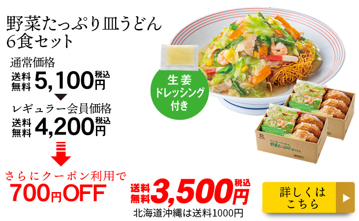 野菜たっぷり皿うどん6食セット